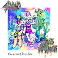 4lung - The almost lost disc