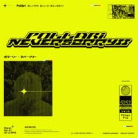 Pollari - Never Sorry 2
