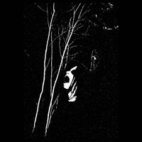 Sanguine Myst - Upon Sylvan Thrones