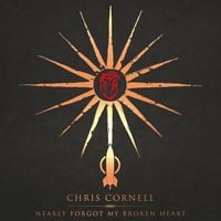 Chris Cornell - Nearly Forgot My Broken Heart