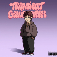 Lil Sac - Transient Gallimaufry