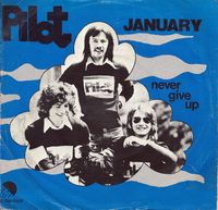 Pilot - January