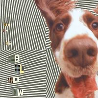 The Blow - The Concussive Caress, Or, Casey Caught Her Mom Singing Along With The Vacuum