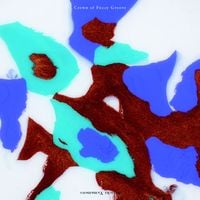 山本精一 [Seiichi Yamamoto] - Crown of Fuzzy Groove