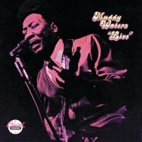 Muddy Waters - Live at Mr. Kelly's