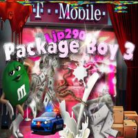 Ljp2900 - Package Boy 3