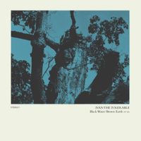 Ivan the Tolerable - Black Water / Brown Earth