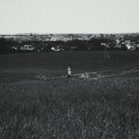 SEVEN STATE - THE GREY