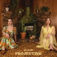 Seasaw - Projecting