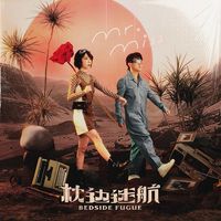 Mr. Miss - 枕边迷航