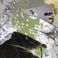 Zbaraski - Buty sovoiu