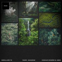 Vinicius Honorio & ASKE - Radio Amazonz