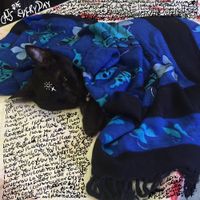⚬ RAZEGOD ✝︎ - ⚬ Cats Die Every Day ✝︎