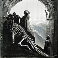 Nevereven - A Cautionary Tale