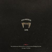 Portugal. The Man - Endangered Song (Sumatran Tiger)