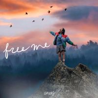 anees - free me