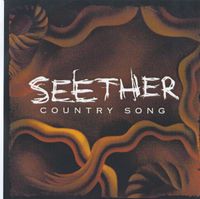 Seether - Country Song