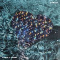 Smallpools - Cameras & Coastlines
