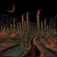 Ceephax Acid Crew - Cro Magnox