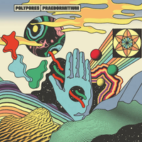 Polypores - Praedormitium