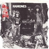 Ramones - Sheena Is a Punk Rocker