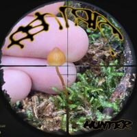fish narc - hunter