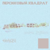 Carvist - Peach Square