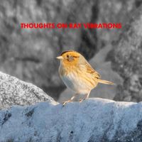 Woody Goss - Thoughts on Ray Vibrations