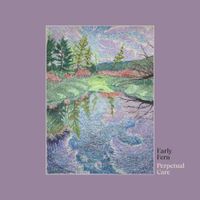 Early Fern - Perpetual Care