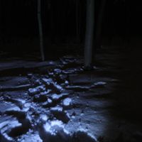 Влажность - Мороз
