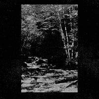Portrait Decay - III