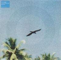 Orbital & Angelo Badalamenti - Beached