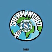 Mike Sherm - Sherm World