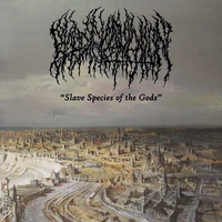 Blood Incantation - Slave Species of the Gods