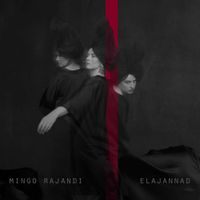 Mingo Rajandi - Elajannad