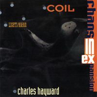 Various Artists - Chaos in Expansion