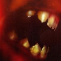 Hider - Demons