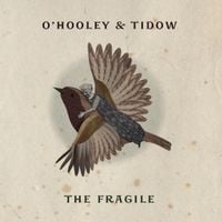O'Hooley & Tidow - The Fragile