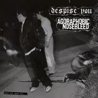 Despise You - And On and On...