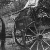 OREGONTRAIL - TILL THE WHITES OF MY EYES DRY OUT