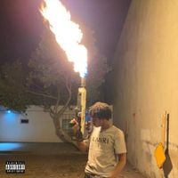 Rich Amiri - Whole Lotta