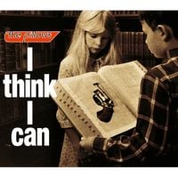 the pillows - I think I can
