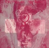 Einst&uuml;rzende Neubauten - Thirsty Animal