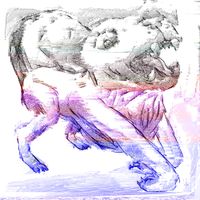 Aven The Dog - dreamscape