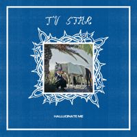 TV Star - Hallucinate Me