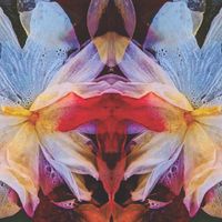 Liquid Sound Company + Herd Of Instinct - Cosmic Worlds