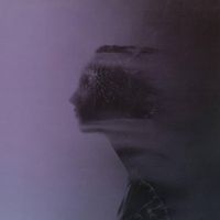 Distressor - Momentary