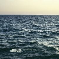 dEUS - Following Sea