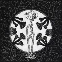 Magic Tuber Stringband - Tarantism