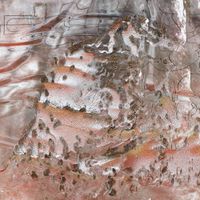 Atrice - Mutualism